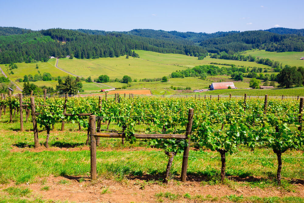 12. Oregon